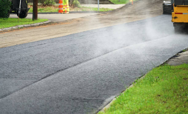 Best Decorative Driveway Pavers  in Odem, TX
